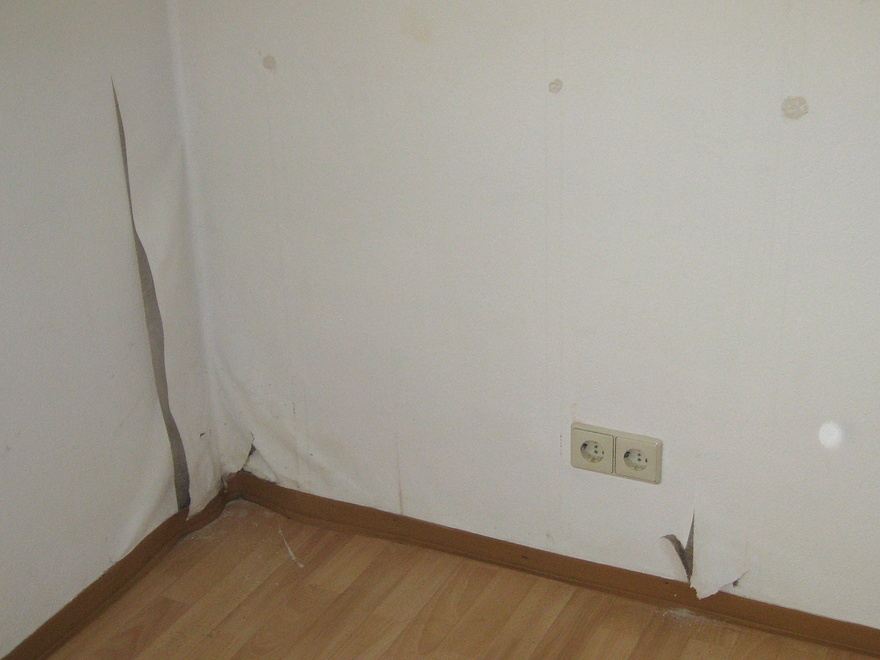 Schimmel in der wohnung entfernen schimmel gutachter (eu ... Wand zimmer