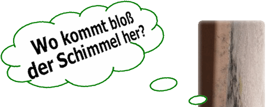 Wo kommt bloß der Schimmel her?