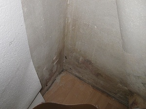 Schimmel an der Wand wegen mehreren Problemen gleichzeitig. Zimmer im Keller schlecht gedämmt, schlecht geheizt und Schrank nicht unter- und hinterlüftet: Vor dem Entfernen der Tapete